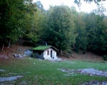 041 (150x120).jpg